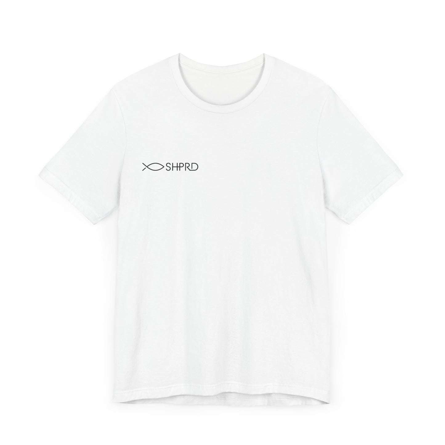 Phillippians 4:13 T-Shirt